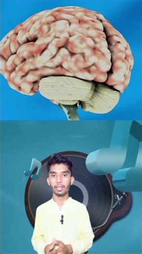 #The First Computer Virus#