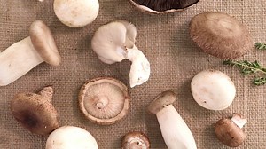 32 reactions · 4 comments | Before cooking with mushrooms, be sure to rinse before chopping or using. Simply brush off any debris from mushrooms, briefly rinse under running water and pat dry.  | Mushroom Council | Facebook