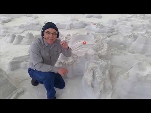 The Rhinos of Ashfall Fossil Beds