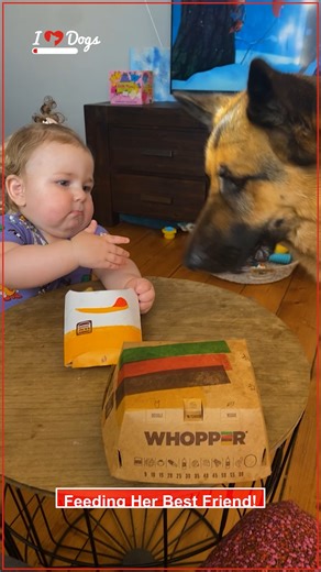 Feeding Her Best Friend | iHeartDogs