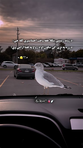 Afghanistan to Canada Life: Waliullah’s Story and Tips for Newcomers