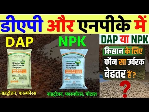 What is the difference between DAP and NPK fertilizer? Which fertilizer is better for the farmer?