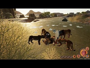 A Lion's Tale Of Survival - Animalia Survival