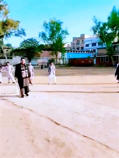 Cricket Highlights from 2025 Recap