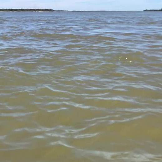 Dorado👑🤯 #puertoesquina #goldendorado #baitcast #flycast #catchandrelease #pescayamigos #fish #pesca #surubi #fishing