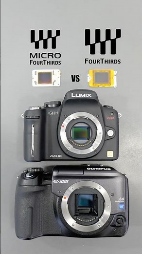 Micro 4/3 vs Four Thirds: The Confusing Difference Explained