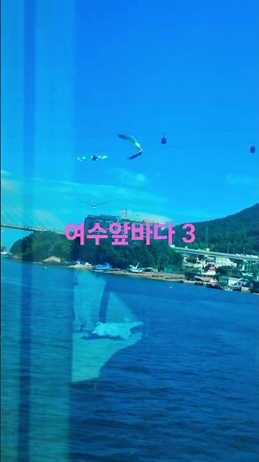 여수앞바다 3~갈매기~ #여수시 #여수앞바다 #크루즈선 #바다 #여행 #바다여행 #동물 #새 #갈매기 #조류 #바다