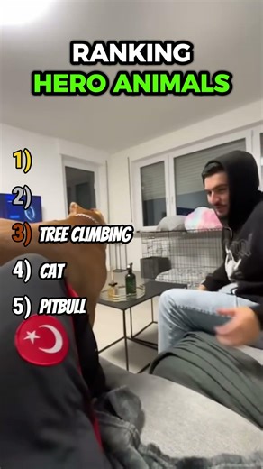 Top 5 Hero Animals… #1 Will Shock You 🐶🔥 #heroanimals #viral #heartwarming