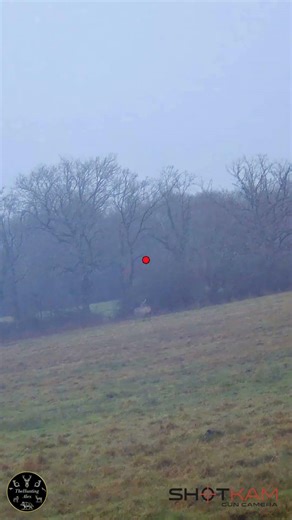 150M LONG RANGE PRECISION | RED STAG SHOTKAM 4K