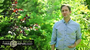 颠覆水族行业现有认知的《Biopod智能雨林缸》动物 植物 真的什么都能养-烟火科技出品