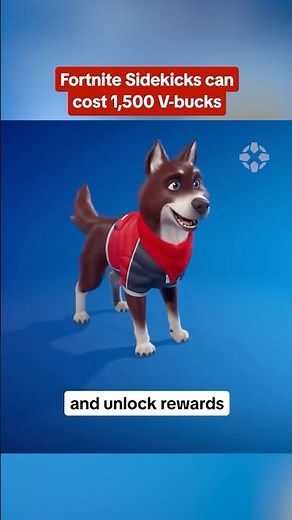 Fortnite Sidekicks can have multiple styles that you can select in your Locker. #fortnite #sidekicks