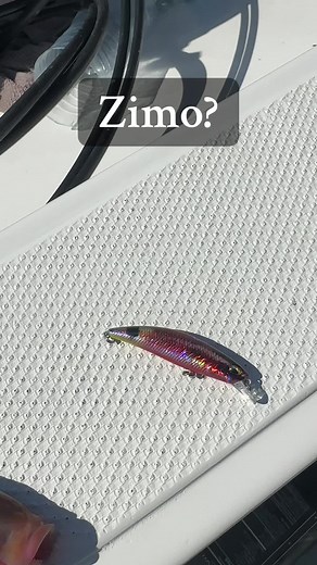 Tides Lures: The Best Reef Runner Fishing Lures