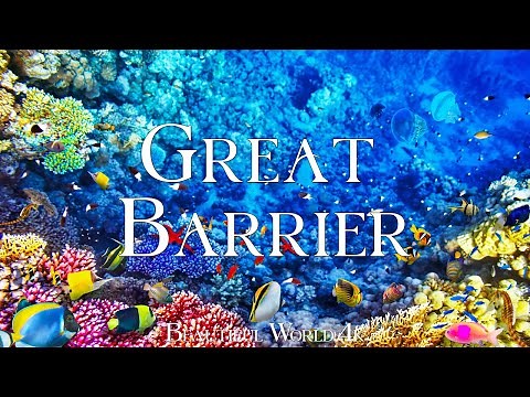 Great Barrier 4K - Journey Through Vibrant Coral Reefs and Marine Life with Calming Music