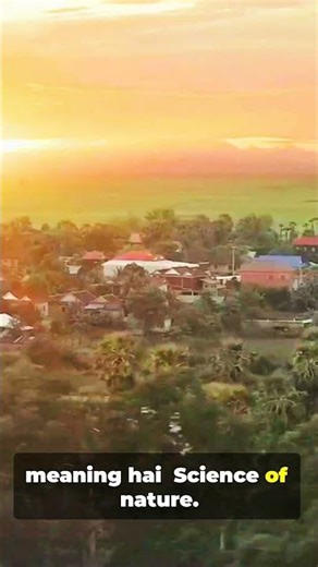 what is the root of physics #facts #viral #knoweledgefacts #shorts