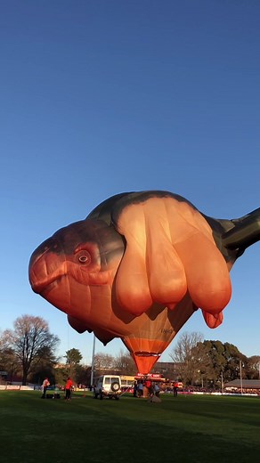 Patricia Picinnini's Skywhales: Exploring Art and Nature