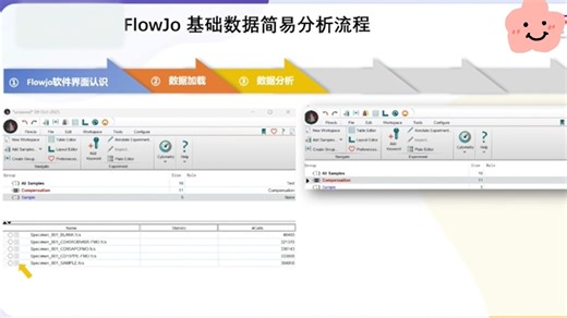 flowjo操作指南（上）