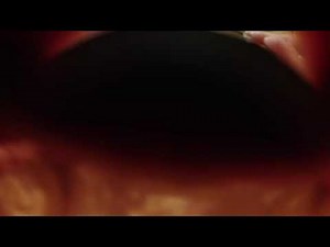 mouthcam360°(vore videos)