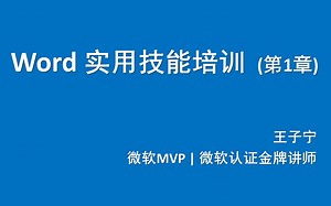 Word实用技能培训--第1章（共4章，包括长文档编辑与排版、多文件批处理技巧等内容）