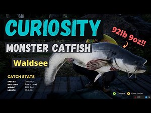 "Curiosity" the 92lb Catfish in Waldsee - Fishing Sim World Pro Tour 2020