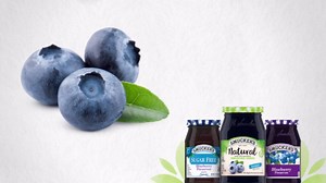 Smucker's Low Sugar Concord Grape Reduced Sugar Jelly, 15.5 Ounces