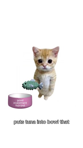 Kitty explains Impact Investing
