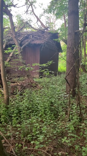 Streamer Face Reveal: A Nostalgic Moment