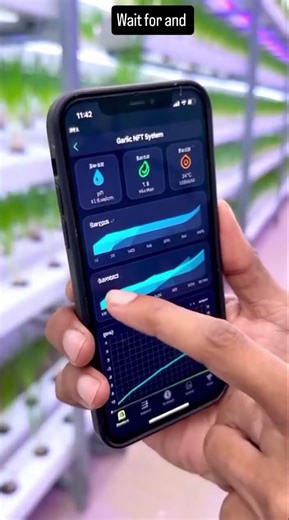 #HydroponicGarlic#GarlicFarming#BinaMittiKheti#HydroponicSystem#HydroponicIndia#SoillessFarming#yt