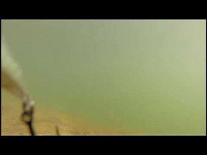 Test Leurre Sebile Puncher