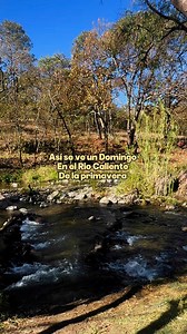 RÍO CALIENTE 🔥🫧 en el Bosque de la Primavera, a 30 minutos de Guadalajara Jalisco 😍🍃En este lugar podrás hacer actividades como senderismo, picnic, acampar, ciclismo de montaña, o darte un buen chapuzón 🐿️🏞️ | Soy.Turistamex