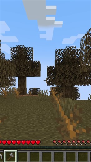 Explore Minecraft's Stunning Rainbow Border Mod