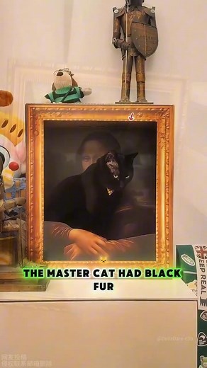 The cat imitates a black cat hiding | Whale Zoos