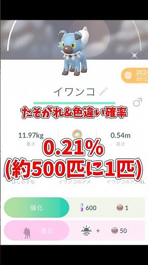Odds of finding wild Dusk Form Rockruff? Predictions based on GO Fest 2024 results! #PokemonGO #s...