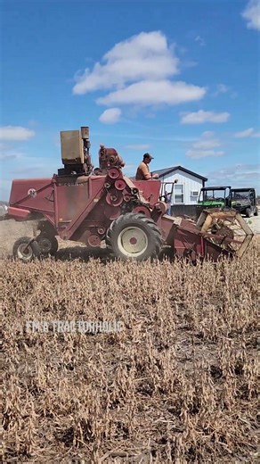 IH 91 combine harvesting soybeans at the Half Century of Progress #tractor #fyp #farming #harvest