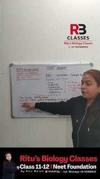 Divisions of Plant Kingdom