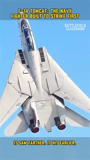 F-14 Tomcat: The Navy Fighter Built to Strike First #military #aviation