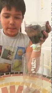 como construir um filtro de agua