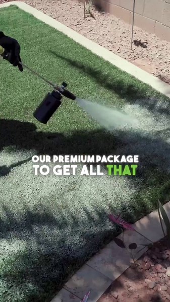 Essential Tools for Perfect Turf Cleaning