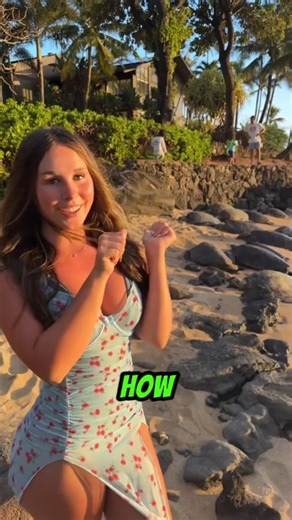 The Genius Behind a Sea Turtle's Shell!!