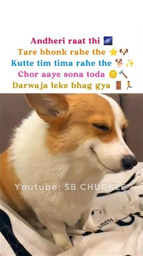 Darwaja 😅 #explore #viralmemes#aestheic#trendingshorts#catsmemes#ytshorts#funnymemes#shorts