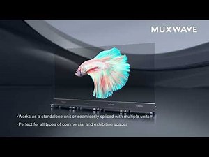 MUXWAVE Holographic Transparent Screen