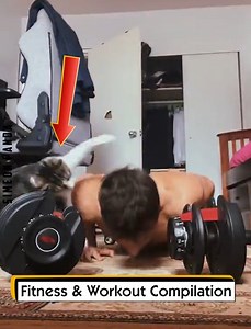 52K views · 578 reactions | Fitness & Workout Compilation | Simeon Panda | Facebook