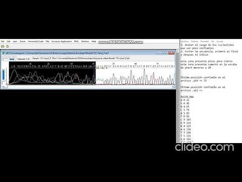 Depuración de secuencias con Bioedit | Parte 1