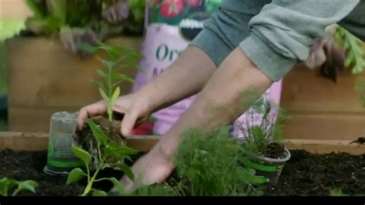 Miracle-Gro TV Spot, 'Talking Dirt With Martha' Featuring Martha Stewart