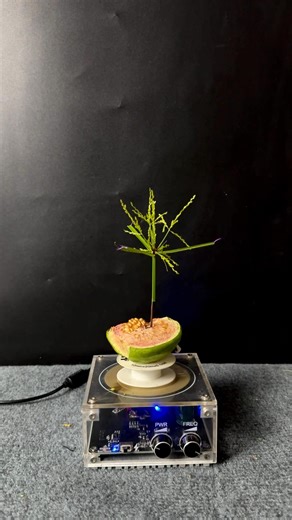 1.3K views | Lightning Power Part1 #shorts #youtubeshorts #facebookreels #tech #tesla #spark #viral | Tech Sparks | Facebook