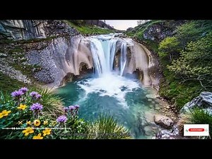 Refined Chamber Performances to Inspire for Eternal Classical Listeners Worldwide