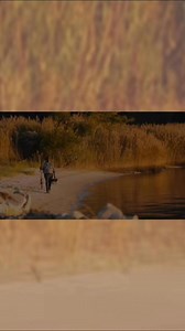 🌟 Visit Tappahannock joins Virginia’s River Realm! 🌊 From its rich history to waterfront adventures, unique shopping, dining, and events, Tappahannock is now part of a bigger story that showcases the best of Virginia’s river region.✨ Start exploring Tappahannock’s page and discover why it’s the perfect destination for your next adventure —> https://www.virginiasriverrealm.com/tappahannock-virginia/ | Virginia's River Realm