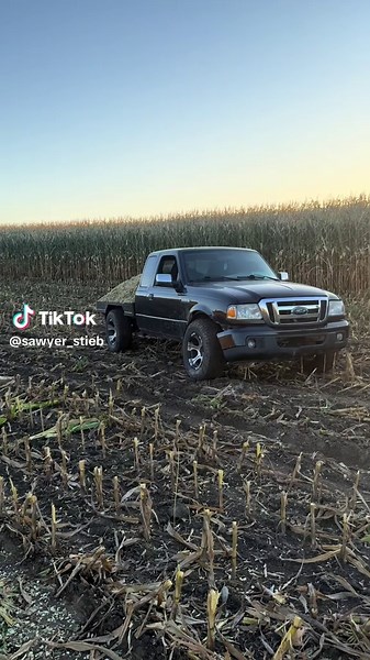 Mastering Shrimping Techniques for Successful Farming