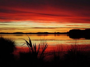 1.4K views | 3 exciting, newly created senior Iwi positions based in...