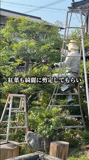 春と冬の景色の違いで、植栽ZONE変更しました #ロックガーデンdiy #紅葉剪定 #古民家カフェの日常