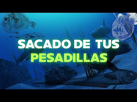 8 Animals from the Deep Sea 🐡 | Abyssal Creatures